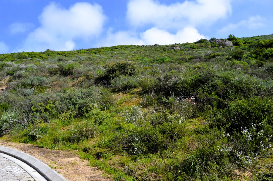 0 Bedroom Property for Sale in St Helena Views Western Cape